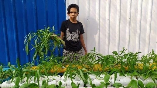 Jangli Kimia Farma 2021.7.jpg